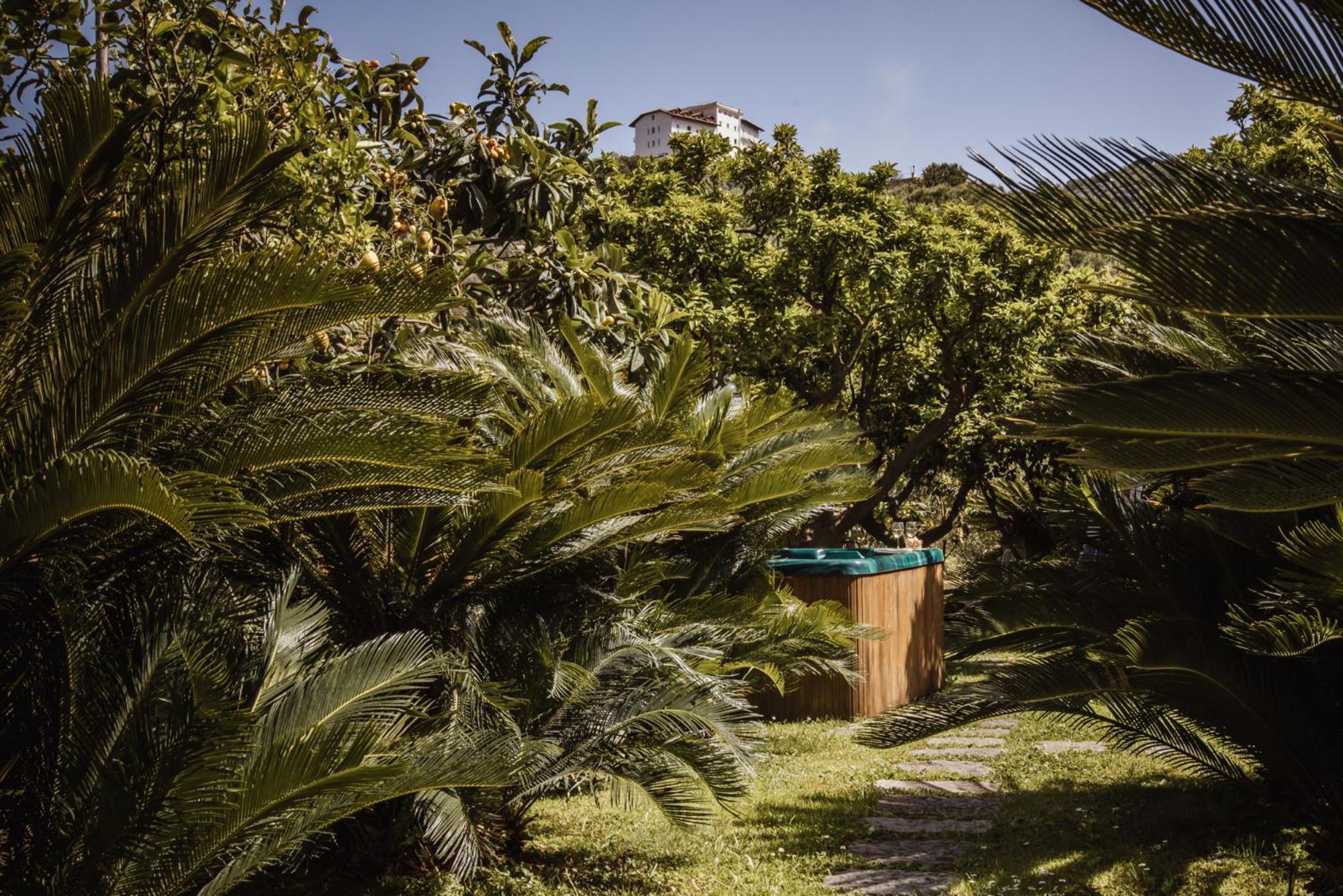 Villa Gallone Sorrento Ngoại thất bức ảnh